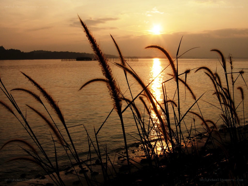 Sunset over the water