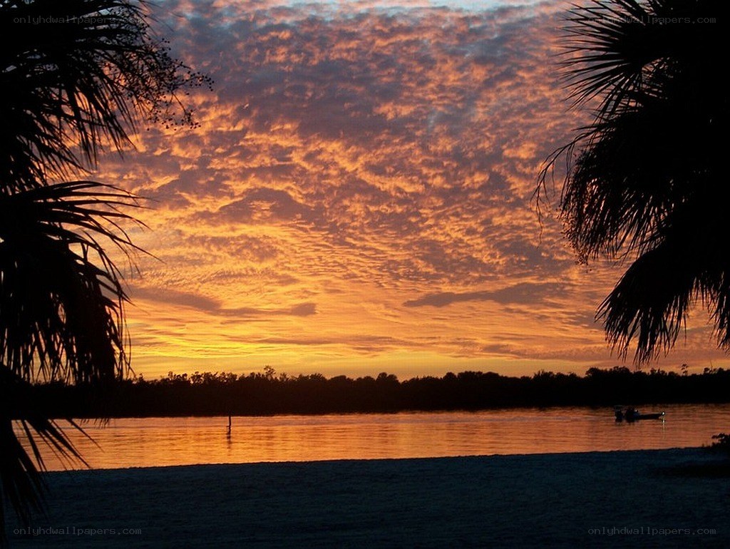 sunset over the water