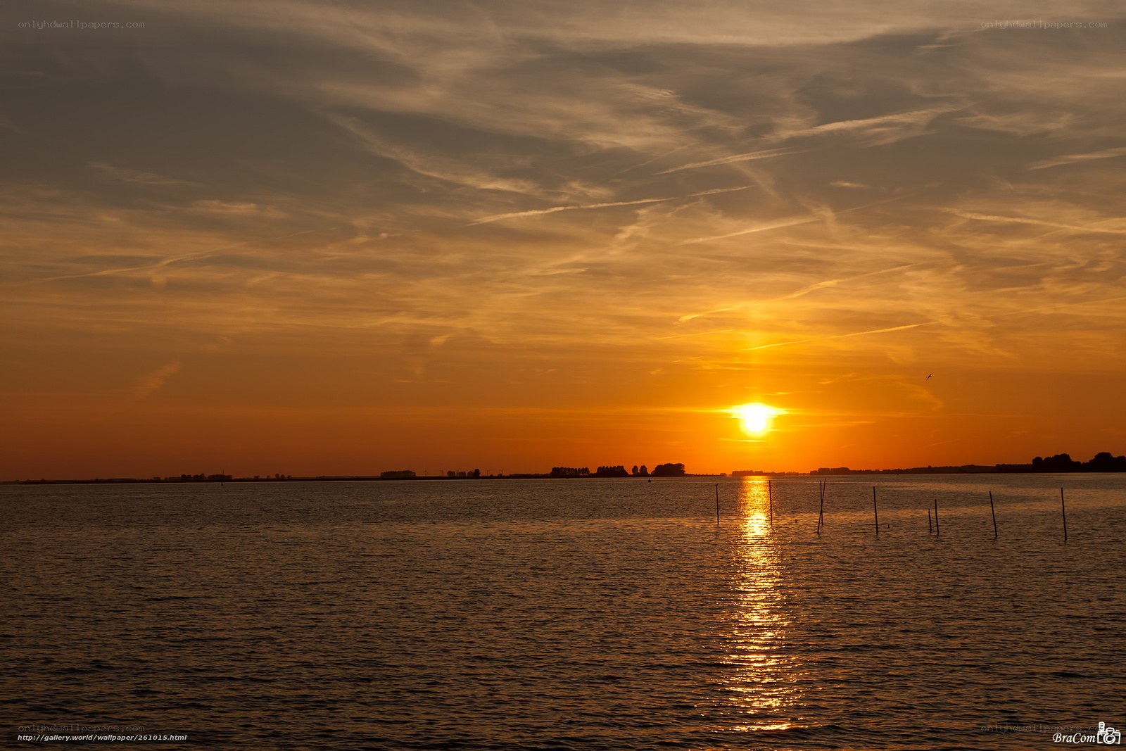 Sunset over the water