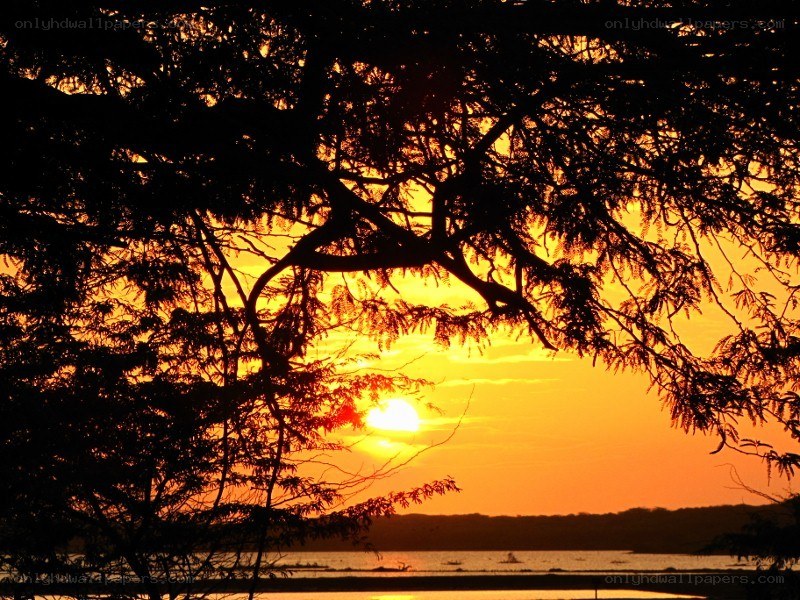 Sunset over the water