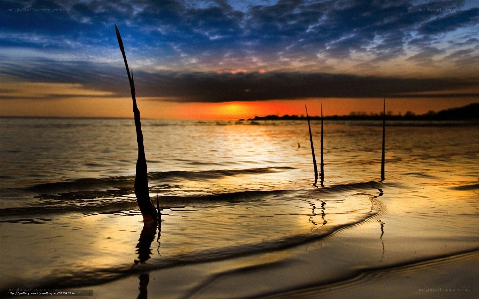 Sunset over the water