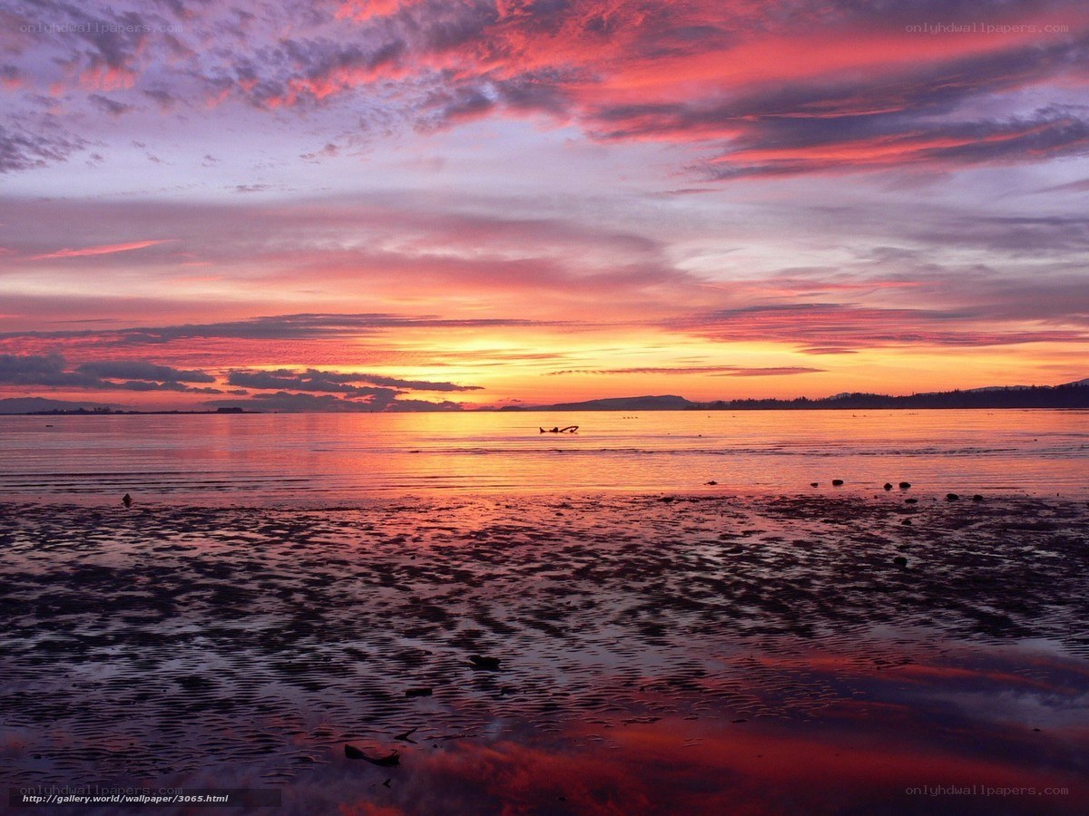 Sunset over the water