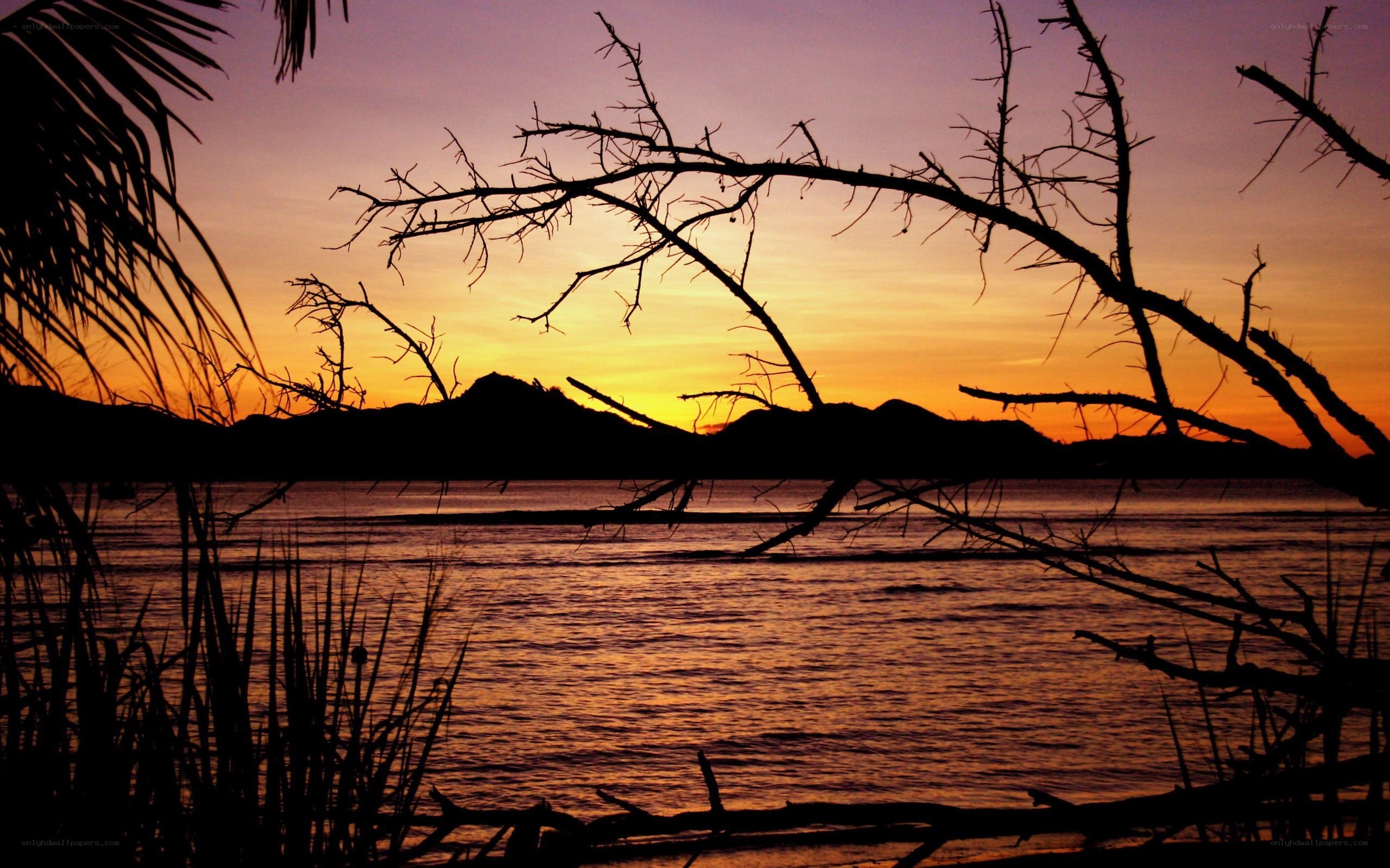 sunset over the water