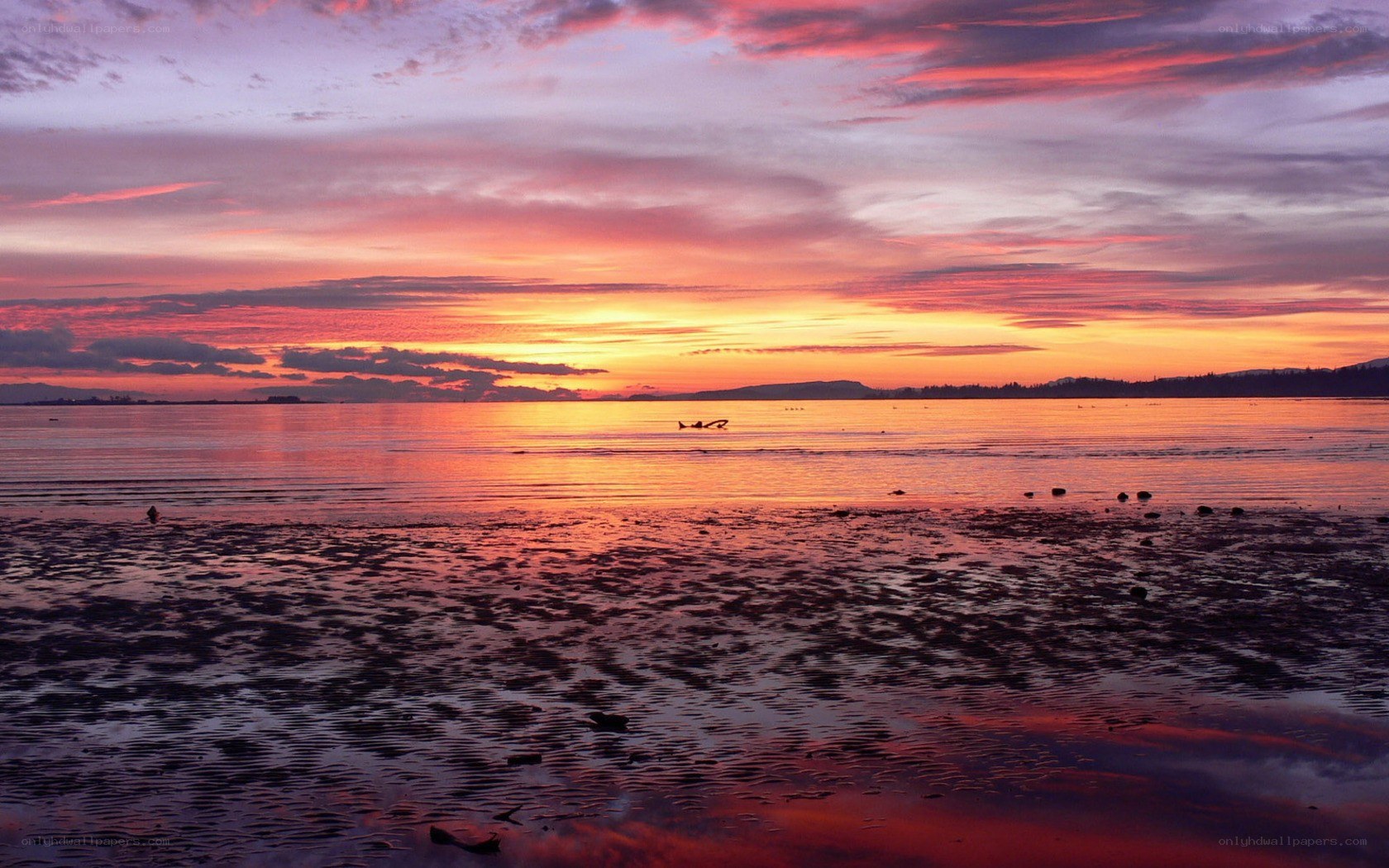 Sunset over the water