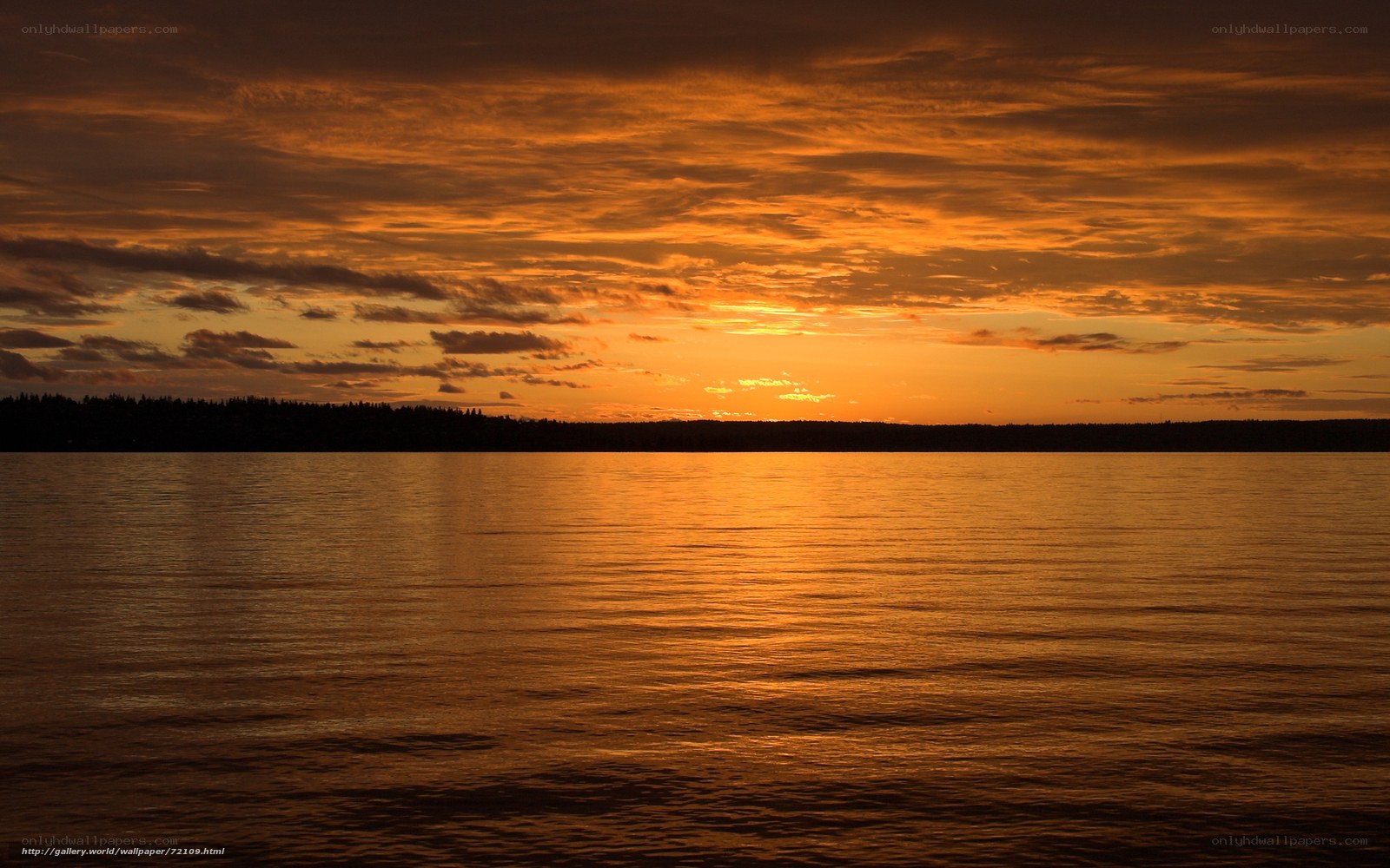 Sunset over the water