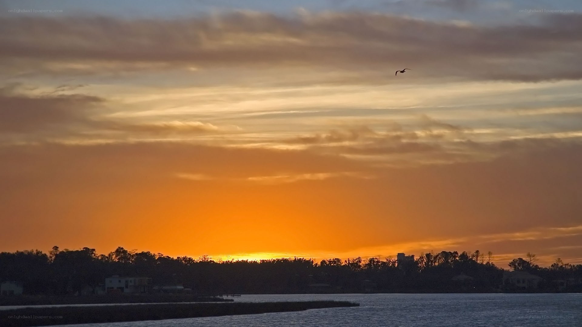 sunset over the water