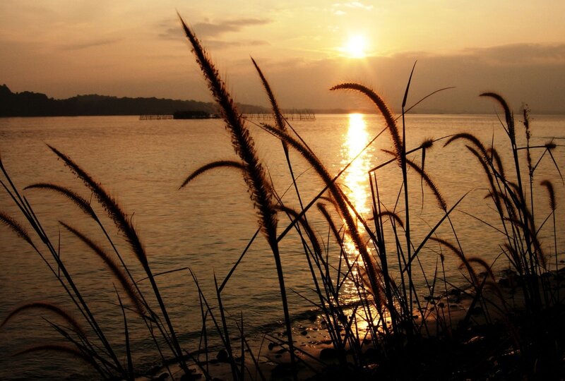 Sunset over the water