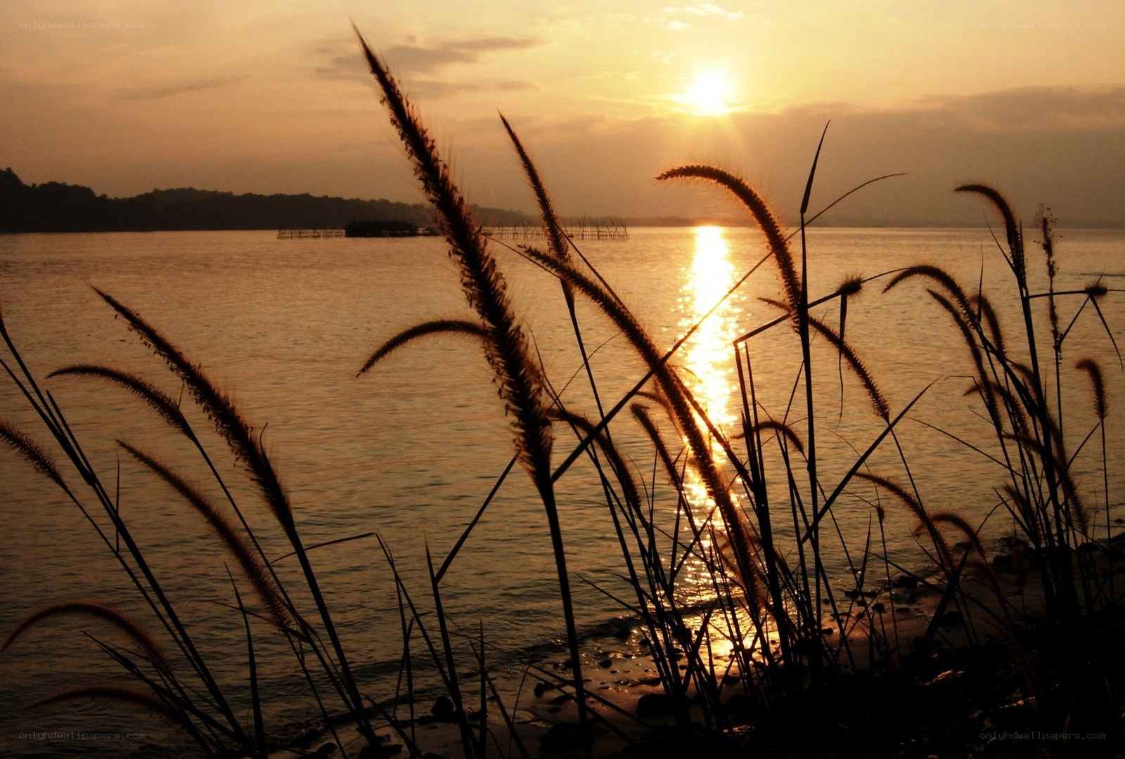 Sunset over the water