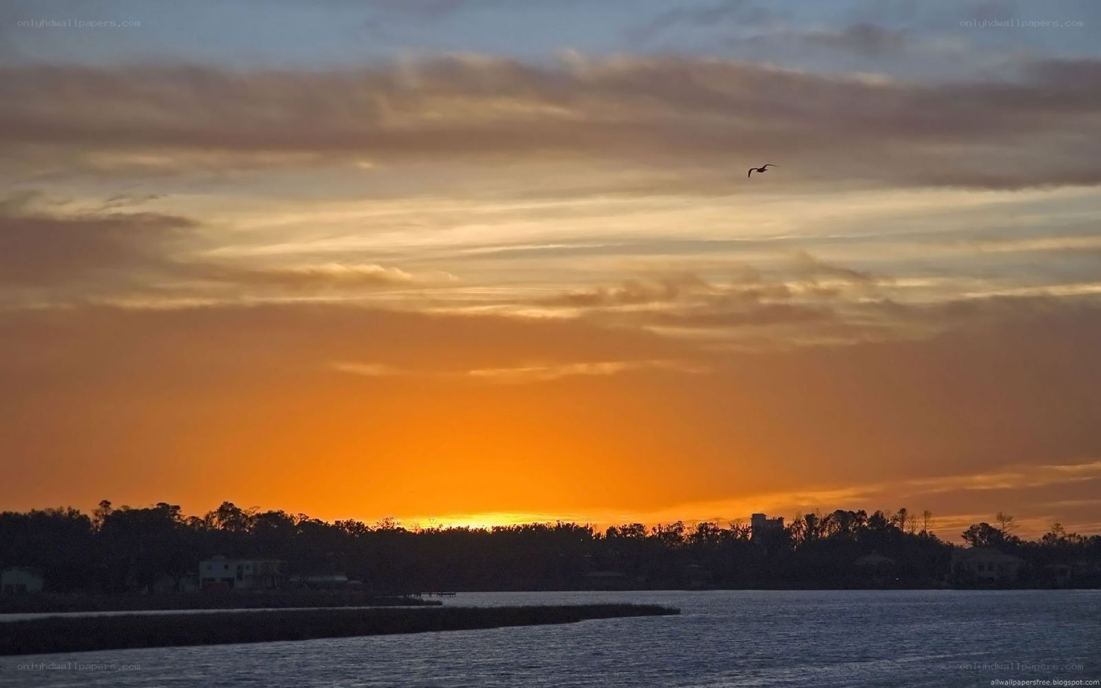 sunset over the water