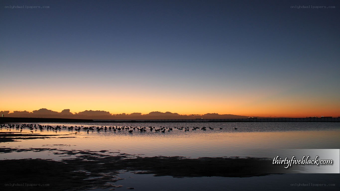 Sunset over the wetlands