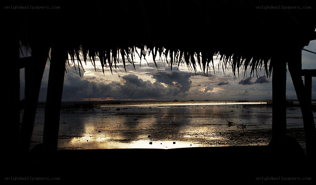 sunset over the wetlands