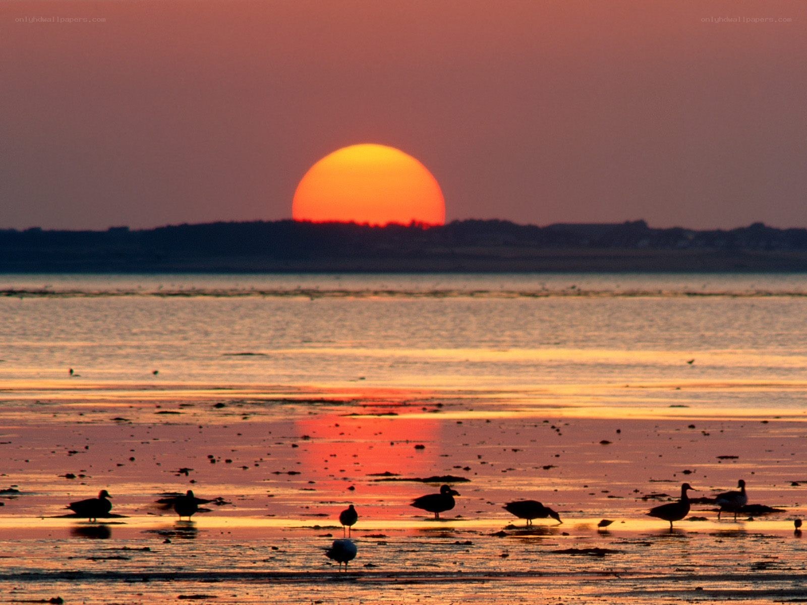 Sunset over the wetlands