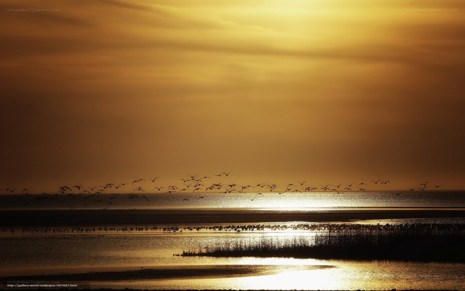 Sunset over the wetlands