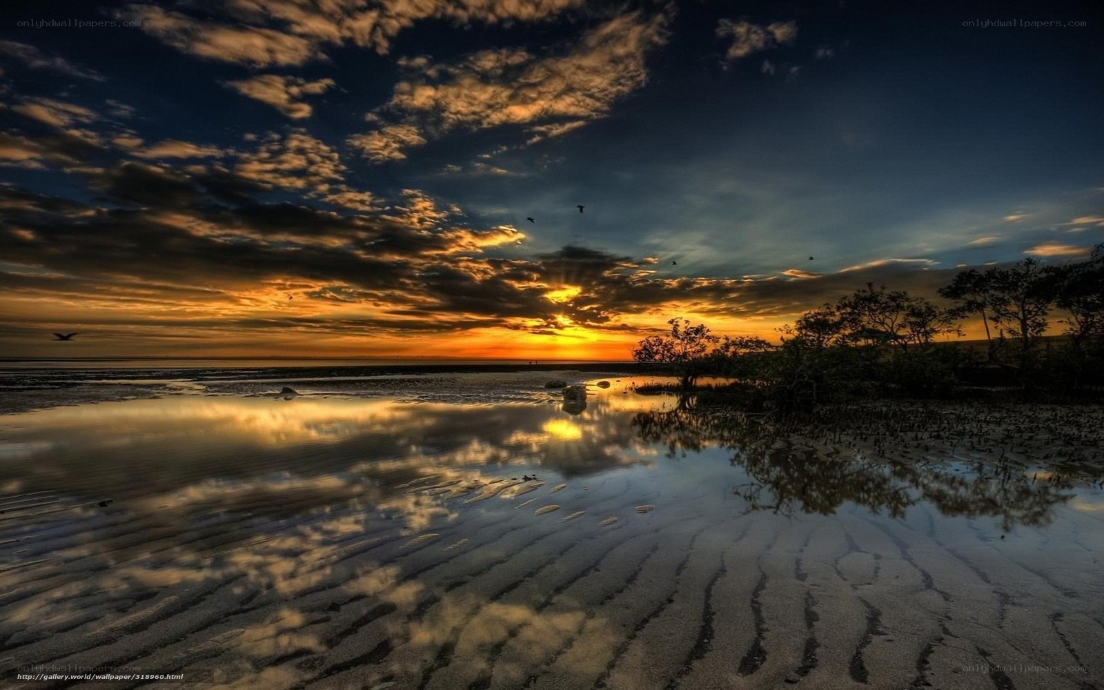 Sunset over tidal flats