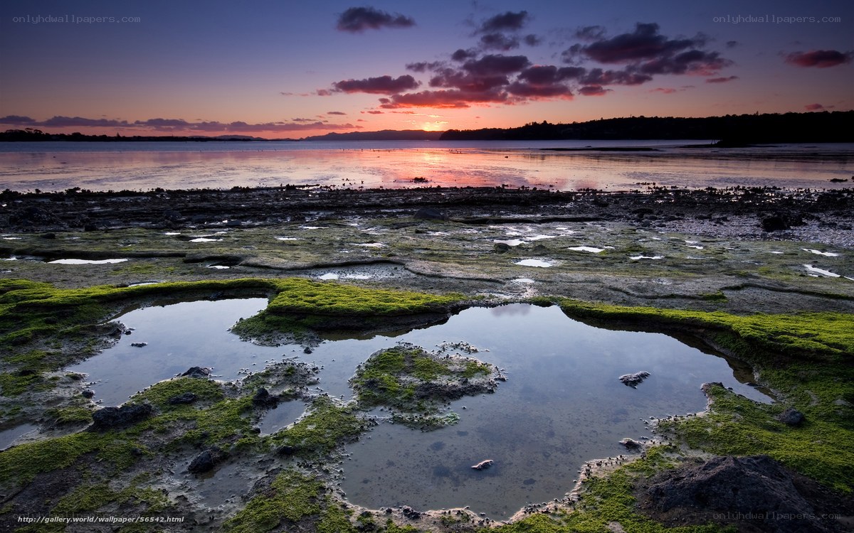 Sunset over tidal flats