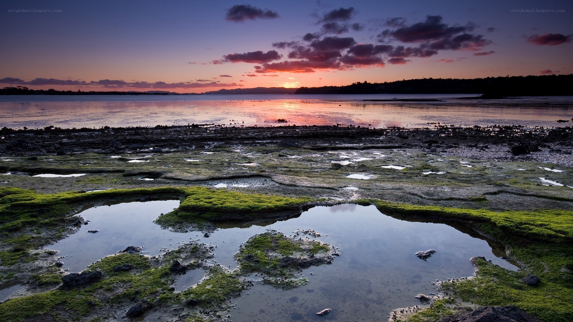 Sunset over tidal flats