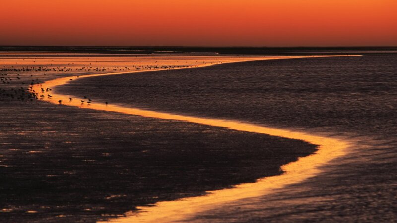 Sunset over tidal flats