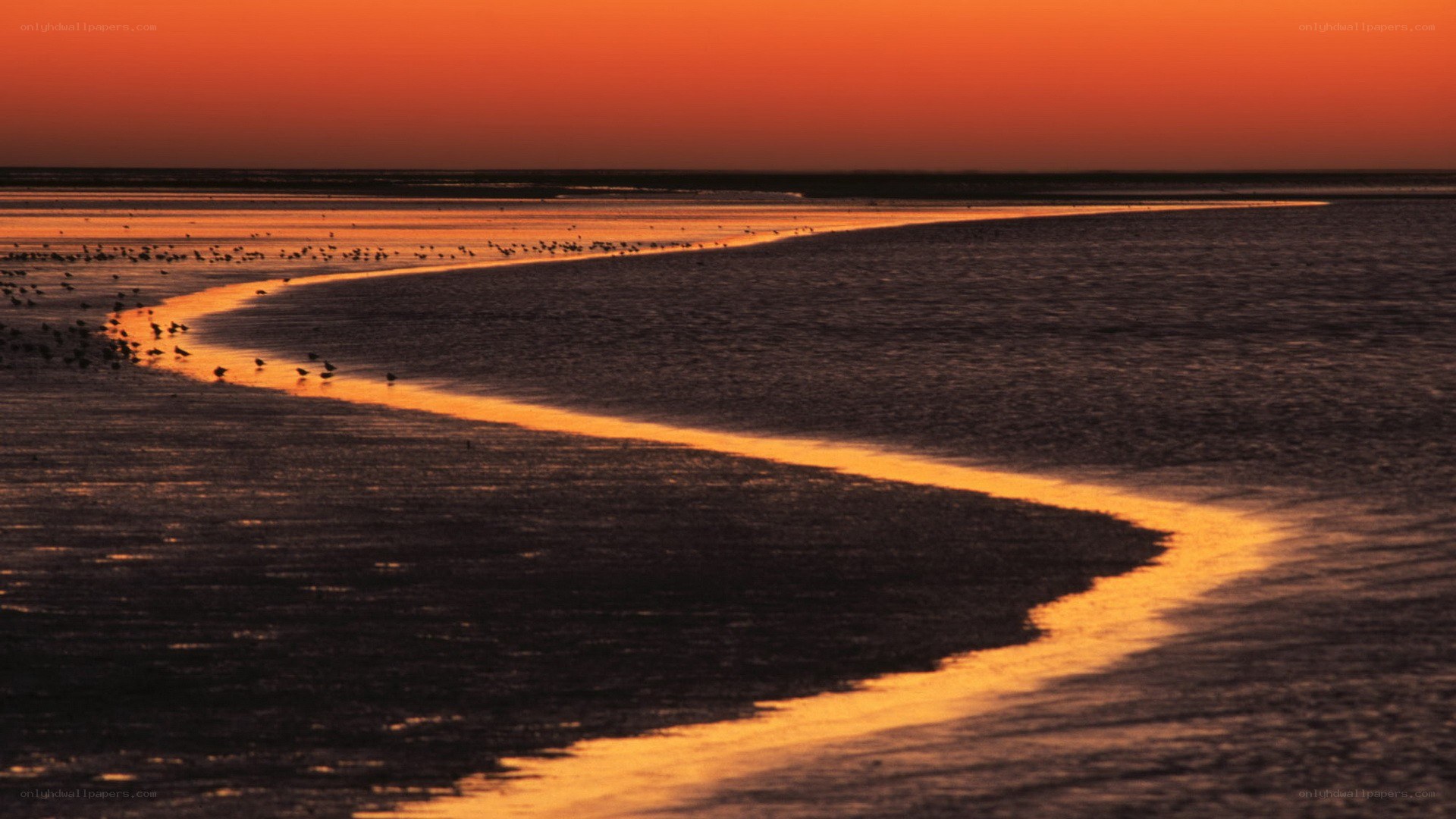 Sunset over tidal flats