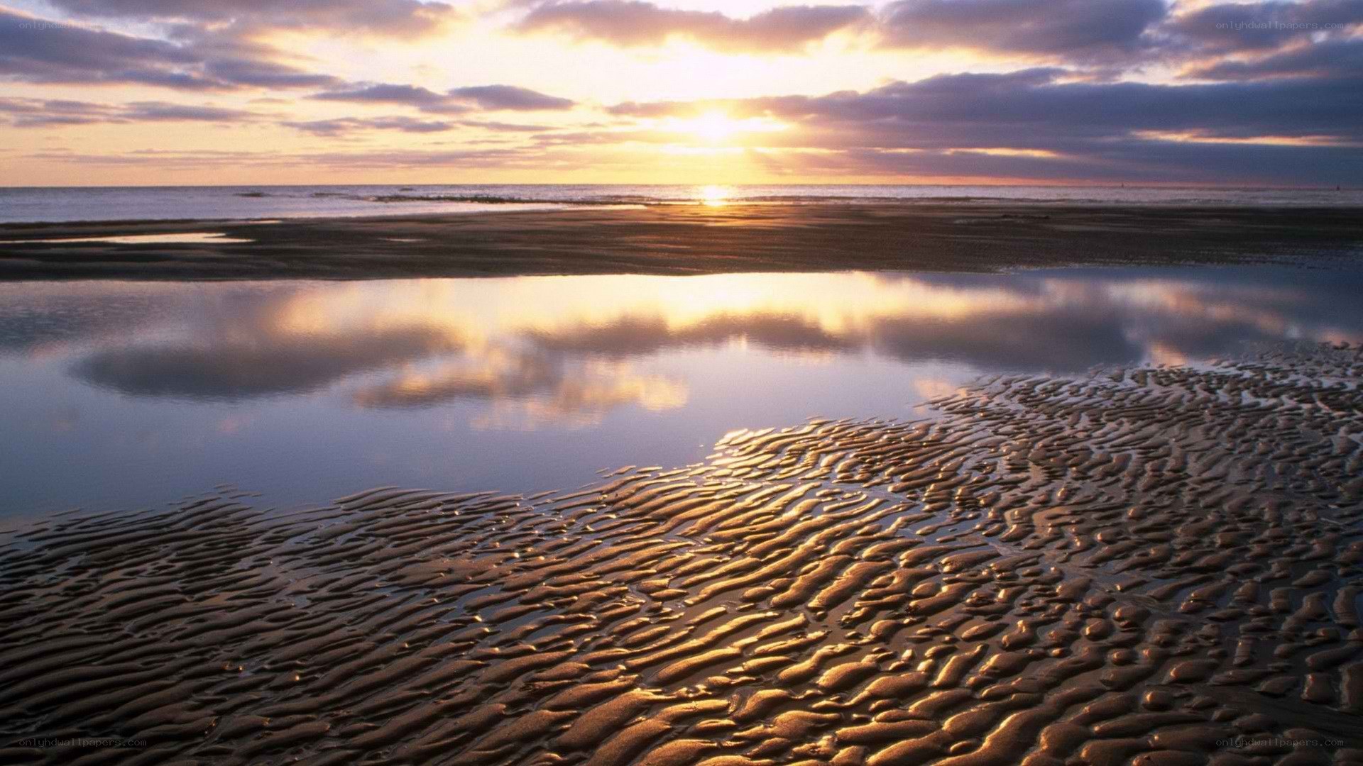 sunset over tidal flats