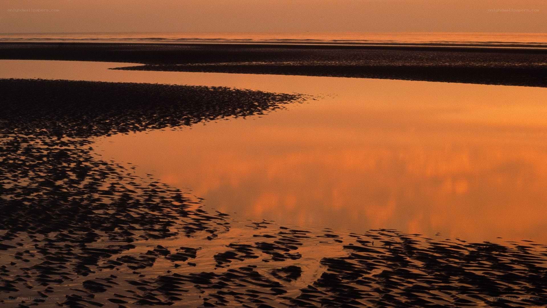 sunset over tidal flats