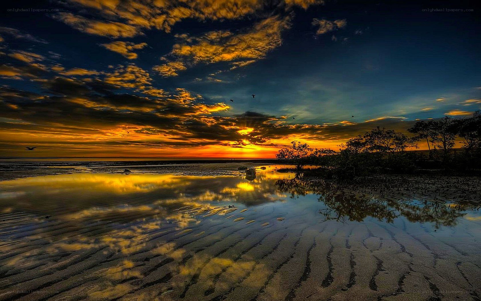 Sunset over tidal flats