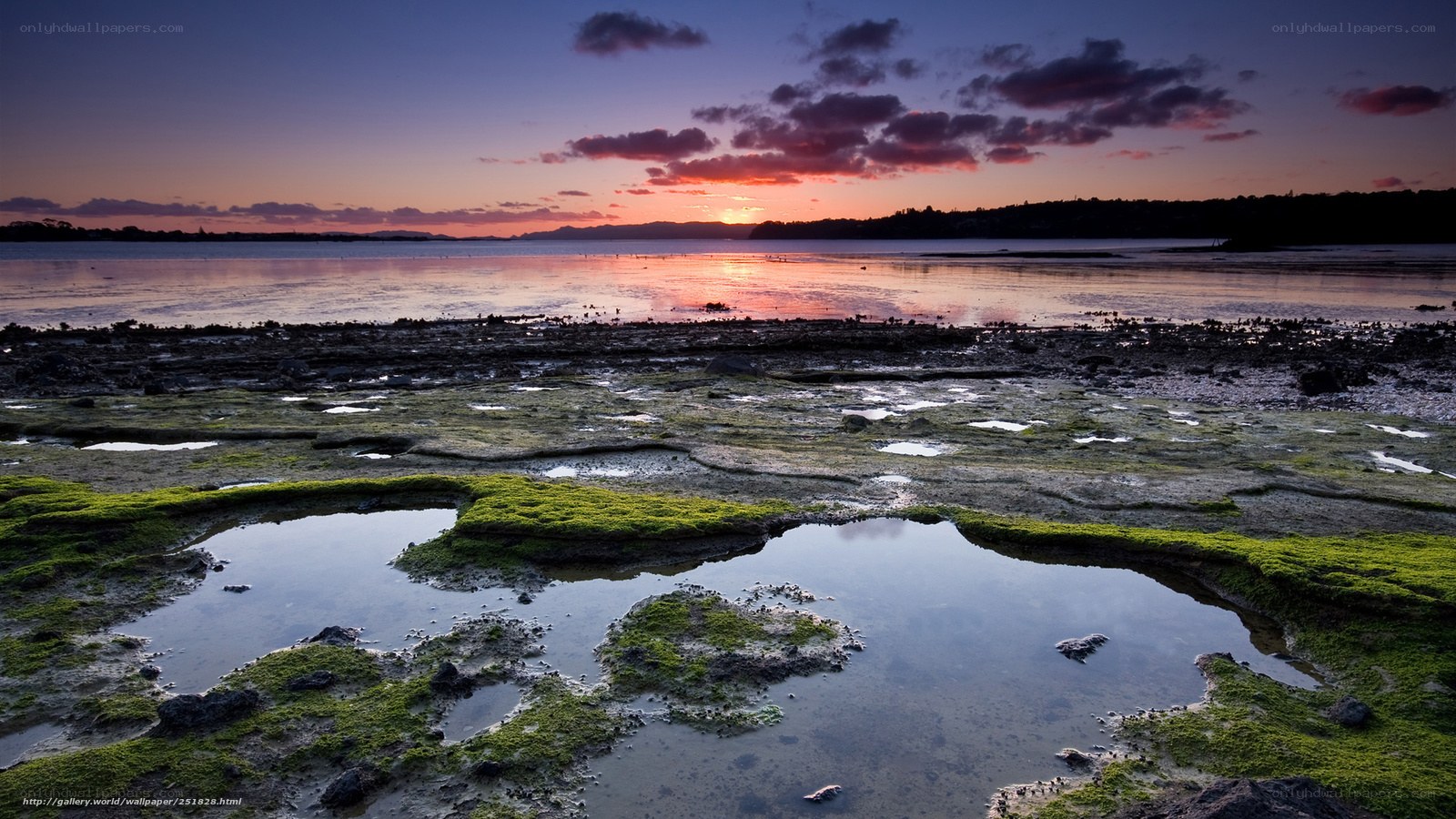 Sunset over tidal flats