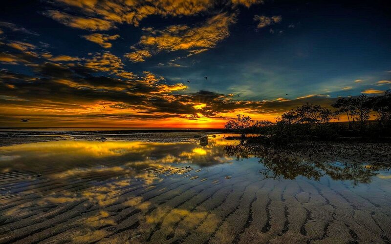Sunset over Tidal Flats — Birds