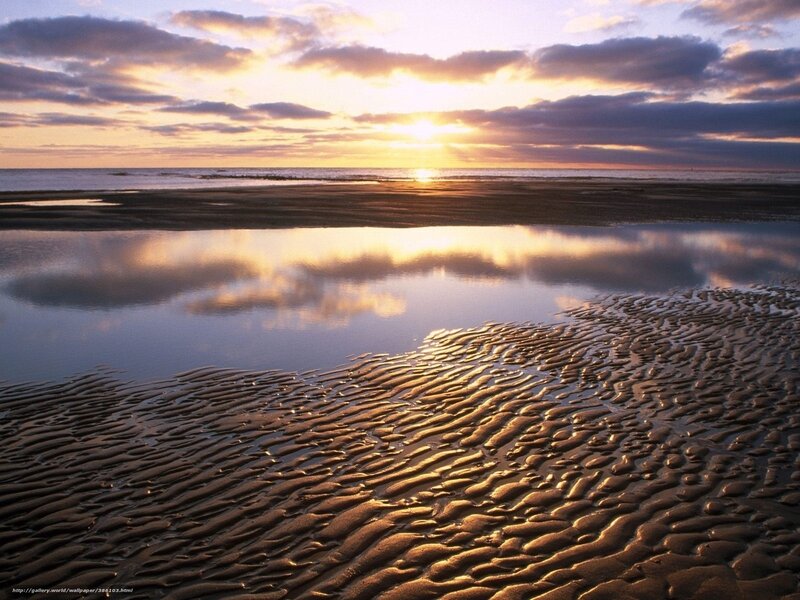 Sunset over Tidal Flats — Gold, Serene, Photograph, Sun, Clouds