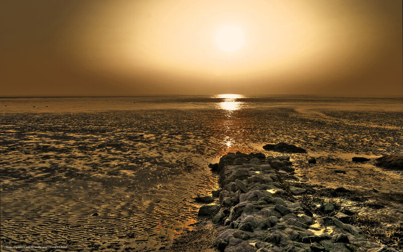 Sunset over Tidal Flats — Gold, Serene, Photograph, Sun