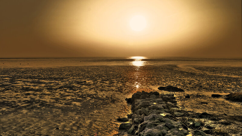 Sunset over Tidal Flats — Gold, Serene, Photograph