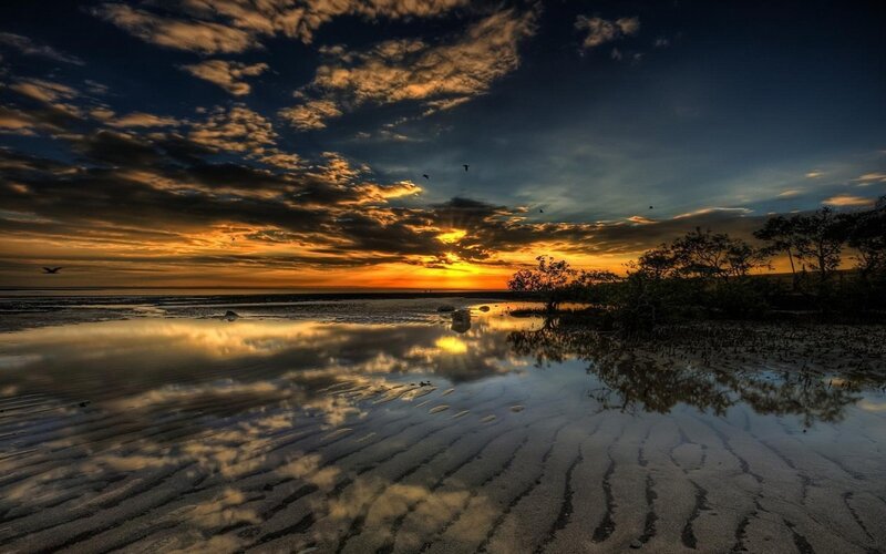 Sunset over Tidal Flats — Orange, Dramatic, Photograph, Clouds, Birds, Trees