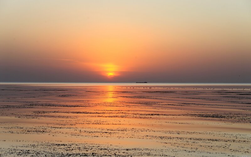 Sunset over Tidal Flats — Orange, Serene, Photograph, Sun, Sea, Boat