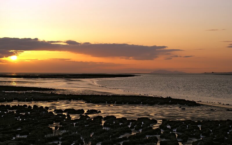 Sunset over Tidal Flats — Orange, Serene, Photograph