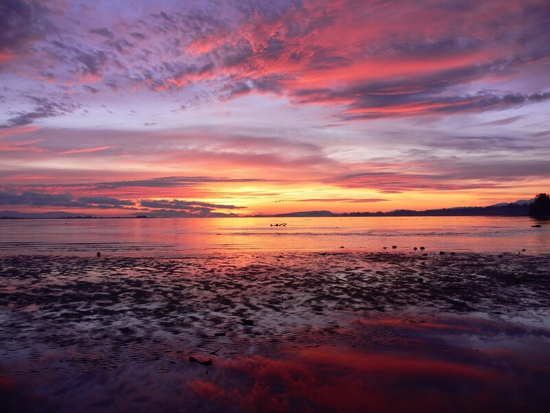 Sunset over Tidal Flats — Purple, Dramatic, Photograph, Sky, Water