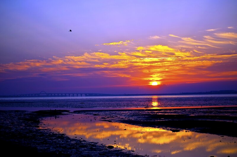 Sunset over Tidal Flats — Purple, Dramatic