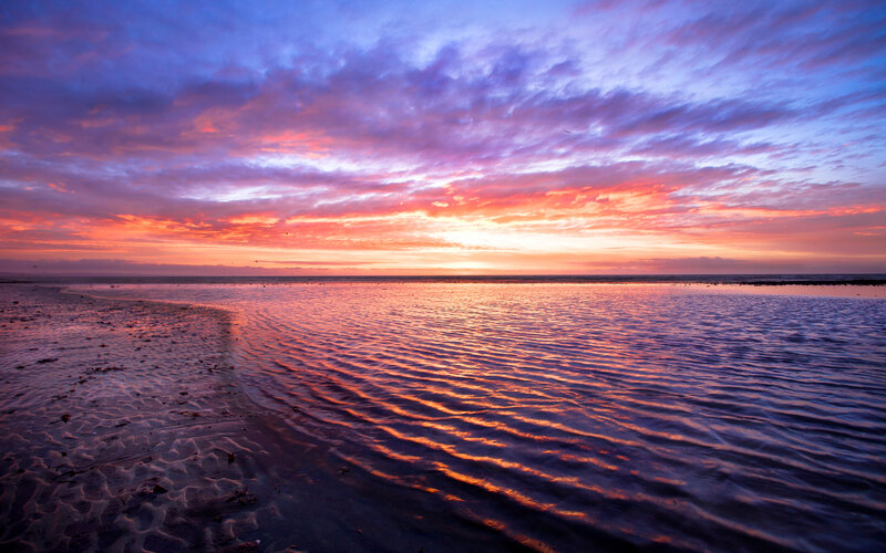 Sunset over Tidal Flats — Purple