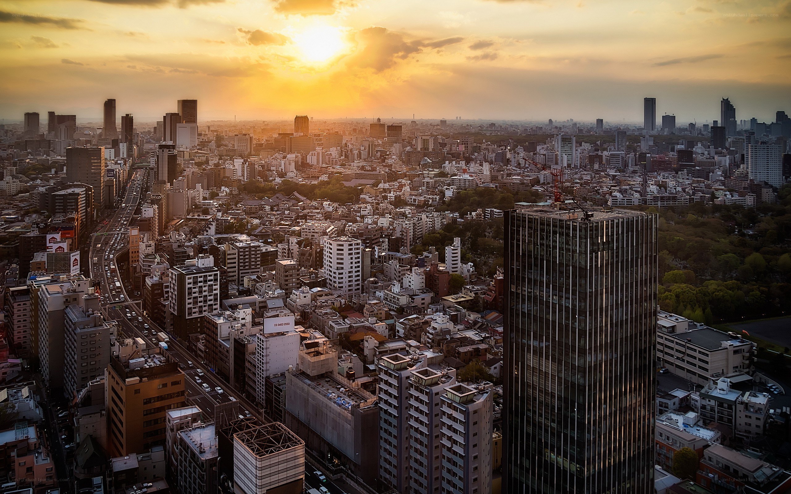 Sunset over Tokyo cityscape