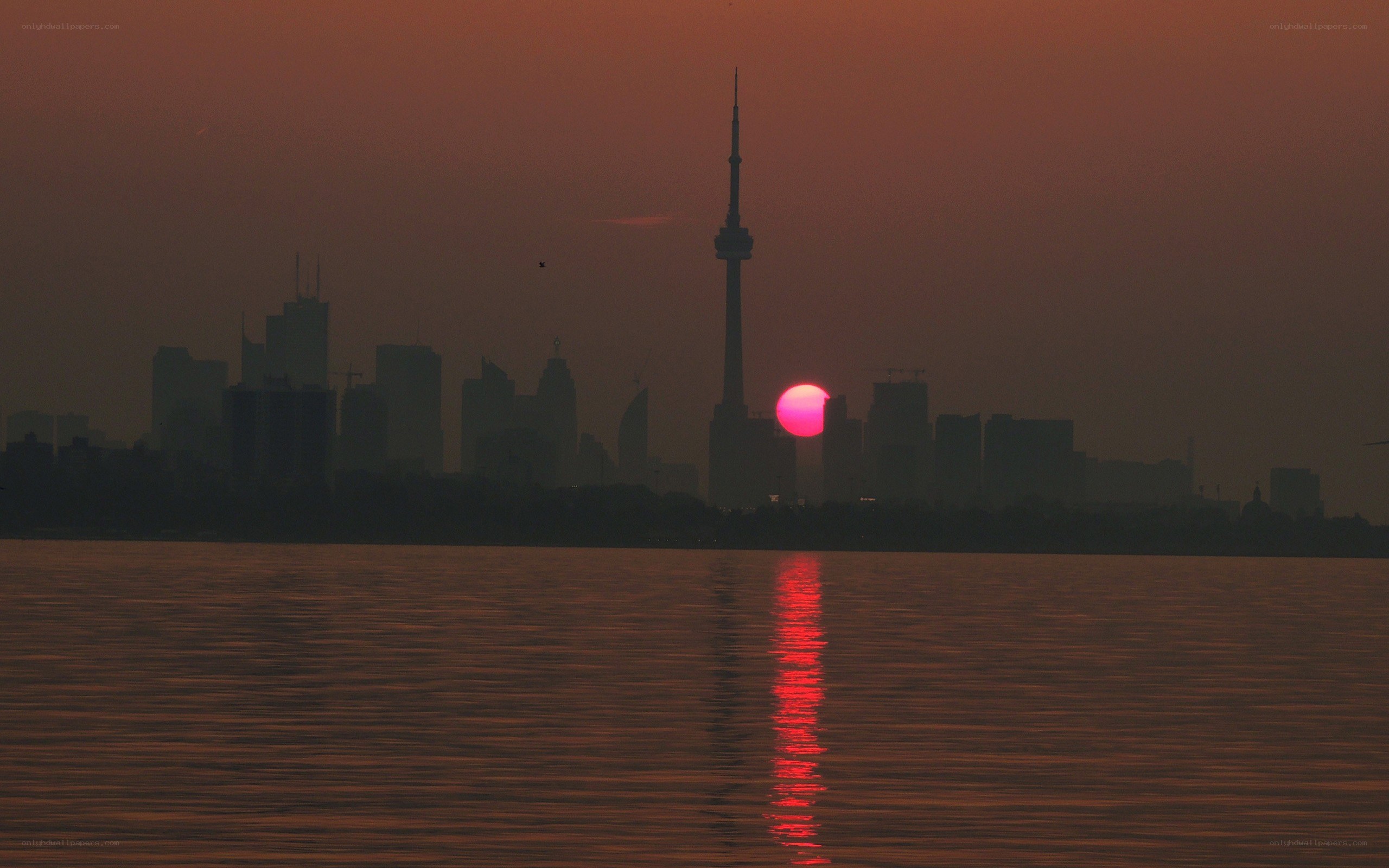 Sunset over Toronto skyline