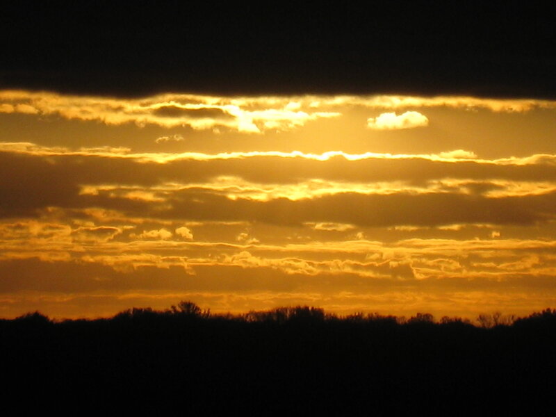 Sunset over Tree Line — Orange
