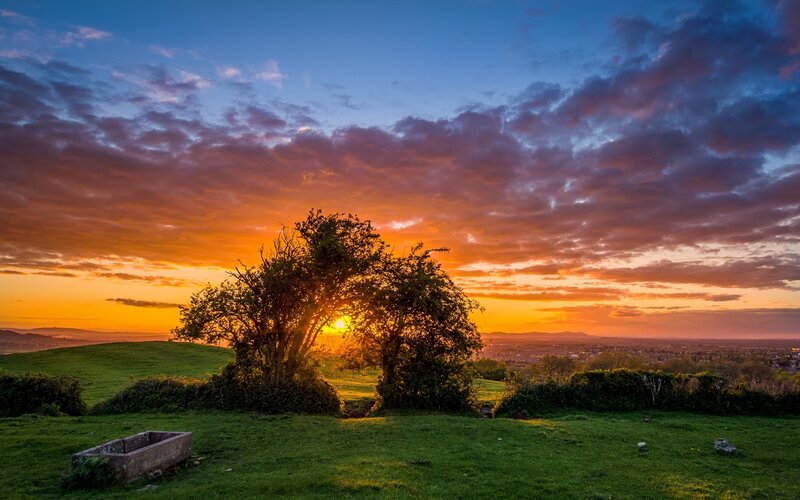 Sunset over Tree Silhouette
