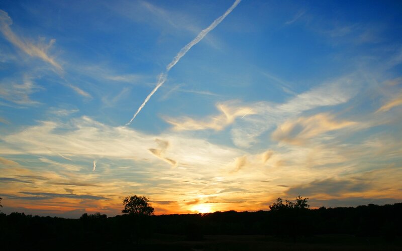 Sunset over Treeline — Blue, Serene