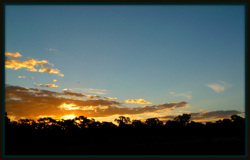 Sunset over Treeline — Blue