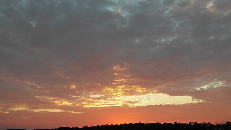 Sunset over Treeline — Orange, Dramatic, Photograph, Clouds, Sky