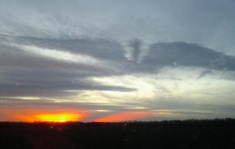 Sunset over Treeline — Orange, Dramatic, Photograph, Clouds