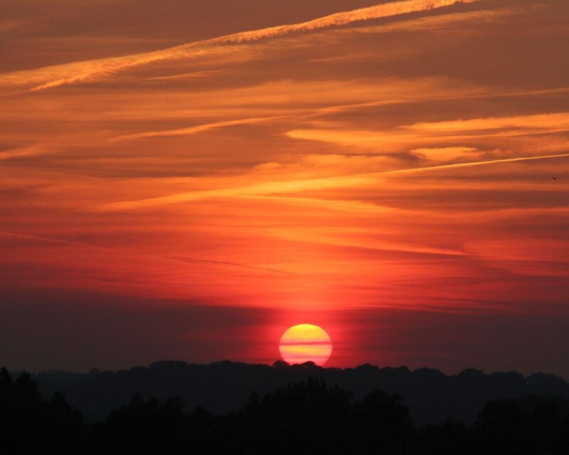 Sunset over Treeline — Orange, Dramatic, Photograph, Sun, Clouds, Trees