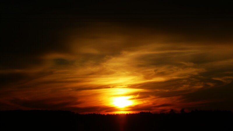 Sunset over Treeline — Orange, Dramatic, Photograph, Sun, Clouds, Yellow