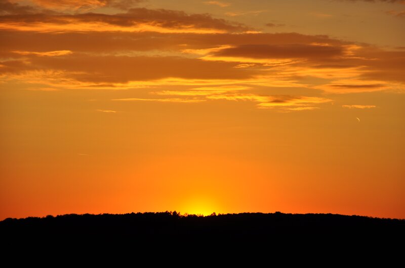 Sunset over Treeline — Orange, Serene