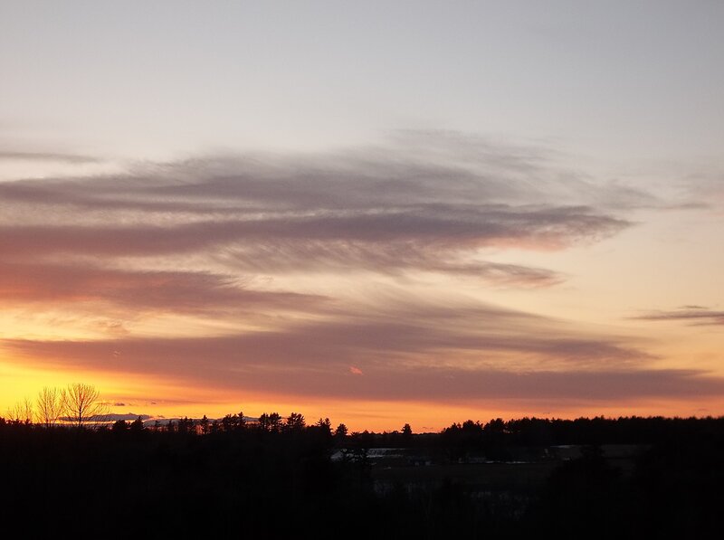 Sunset over Treeline — Orange