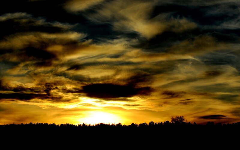 Sunset over Treeline — Yellow