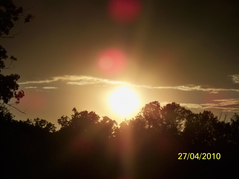 Sunset over trees